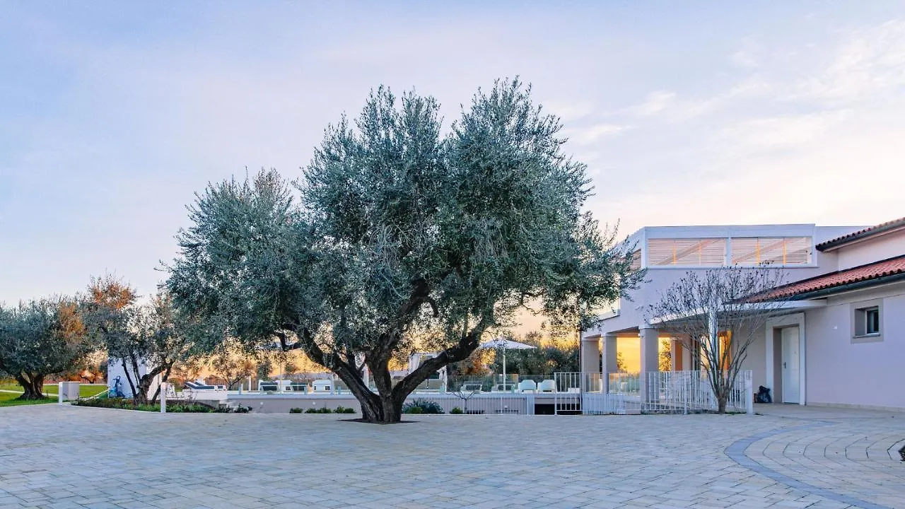 La Perla Tra Gli Ulivi 12, Emma Villas San Vincenzo Itálie